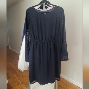 Jcrew navy dot dress. Size 14, new never worn.